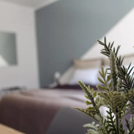 Stanze Di Sofia Bari